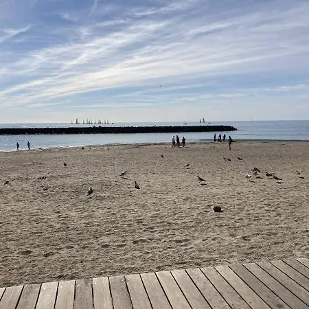 En Rez-de-jardin: Piscine, Calme, Pinede, Parking, Terrasse, Proche Plage, Bbq - Fr-1-723-84 Agde